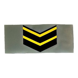 Insignia Termoadhesiva Ejército Arg Para Gimnasia