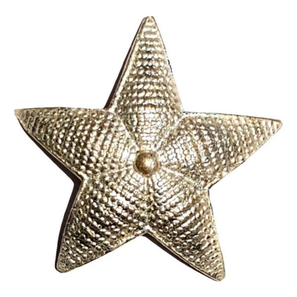 Distintivo Metálico Estrella 5 Puntas Gendarmería Gna