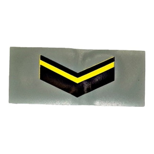 Insignia Termoadhesiva Ejército Arg Para Gimnasia