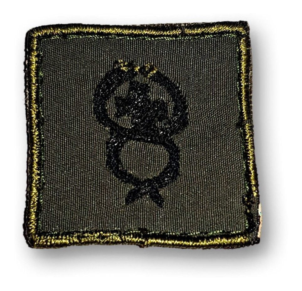 Distintivo Parche Bordado Ejército Argentino Arma Verde - Imagen 14