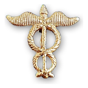 Distintivo Pin Metálico Arma Ejército Argentino