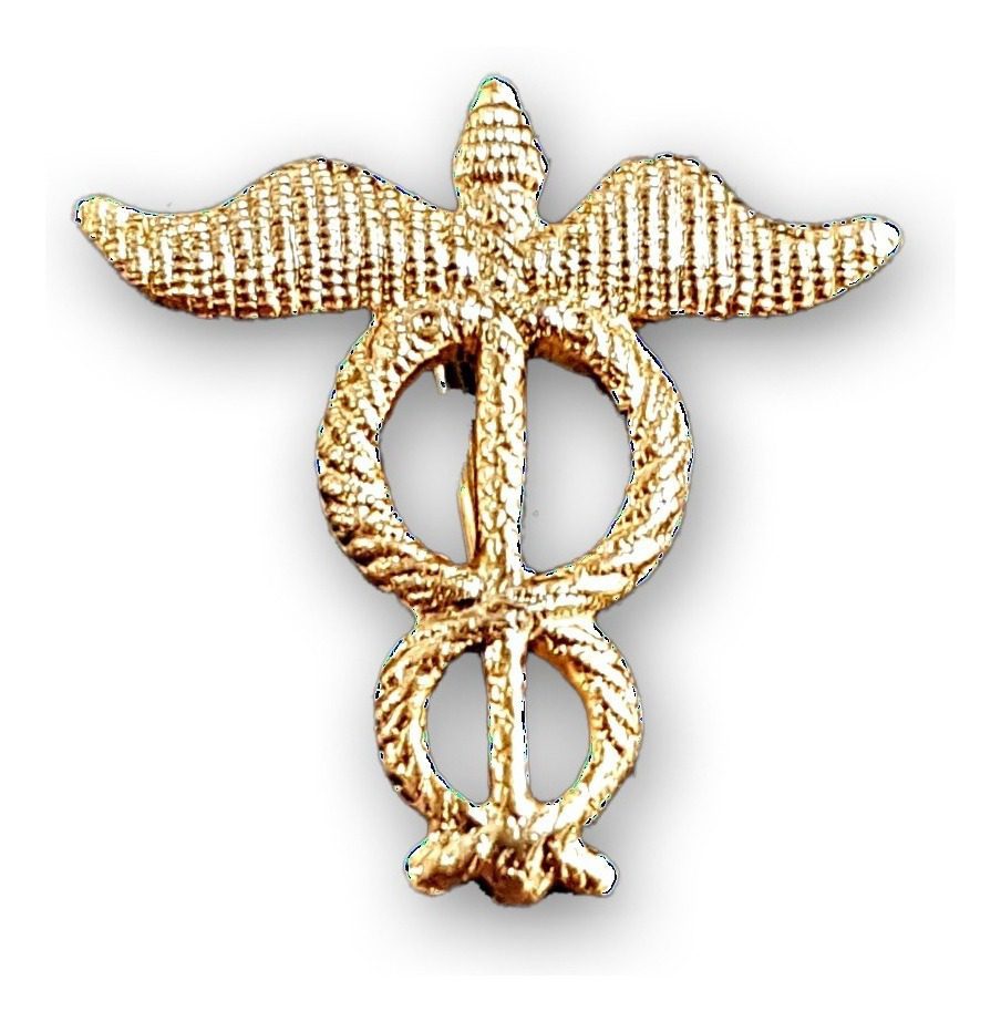 Distintivo Pin Metálico Arma Ejército Argentino - Imagen 10