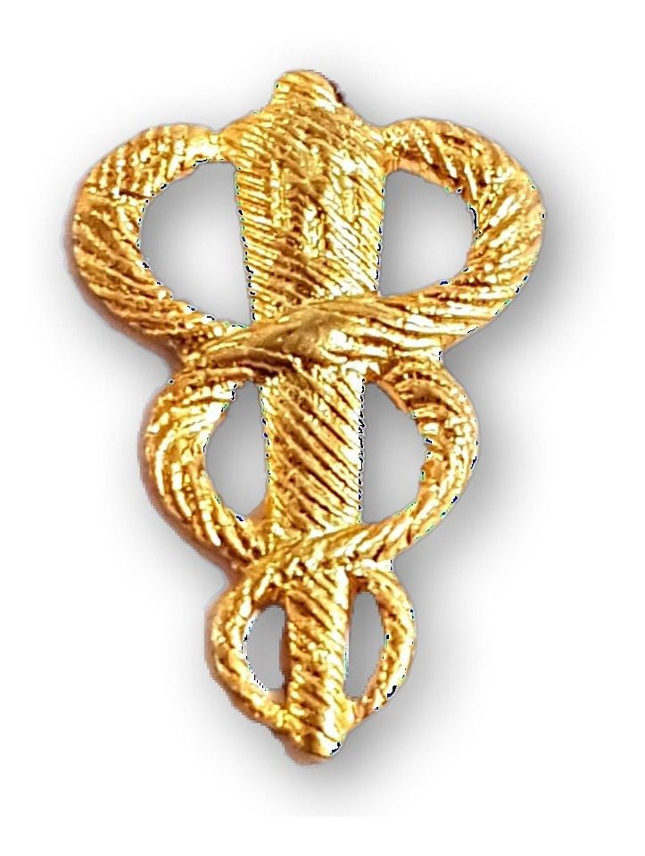 Distintivo Pin Metálico Arma Ejército Argentino - Imagen 12