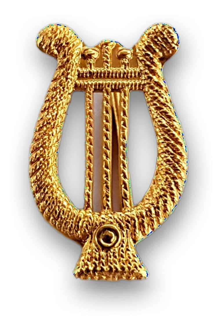 Distintivo Pin Metálico Arma Ejército Argentino - Imagen 3