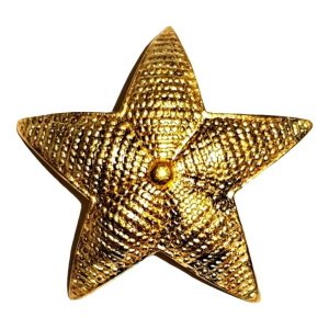 Distintivo Metálico Estrella 5 Puntas Gendarmería Gna