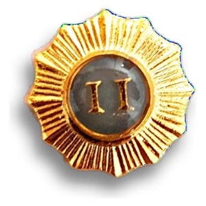 Distintivo Pin Metálico Número Brigada Ejército Argentino