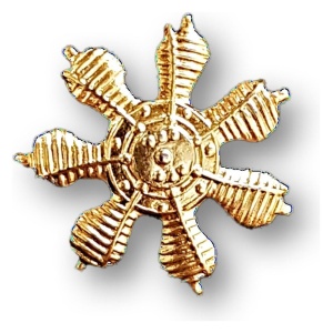 Distintivo Pin Metálico Arma Ejército Argentino