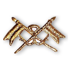 Distintivo Pin Metálico Arma Ejército Argentino