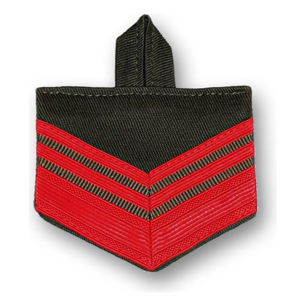 Insignia Bordada Gendarmería Nacional Arg Botón