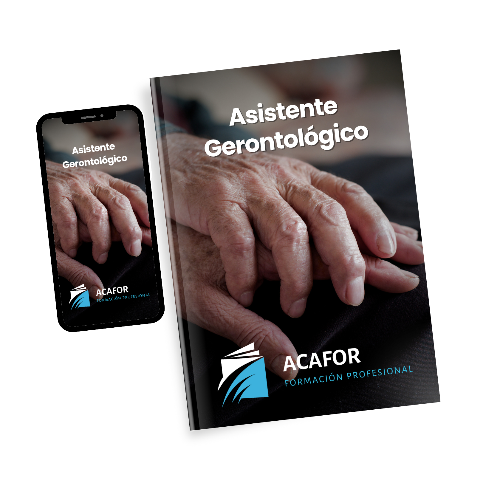 Asistente Gerontológico