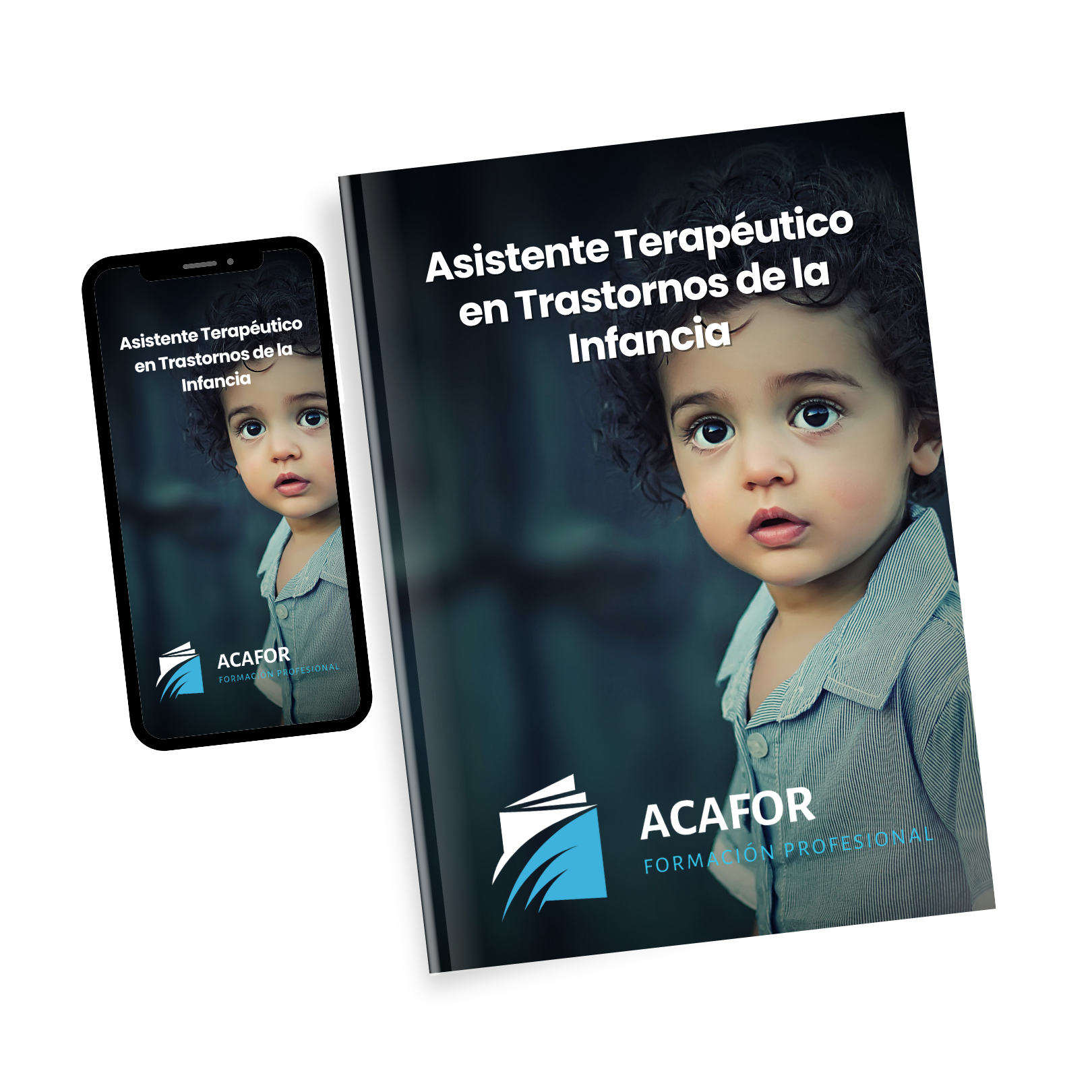 Asistente Terapéutico En Trastorno De La Infancia