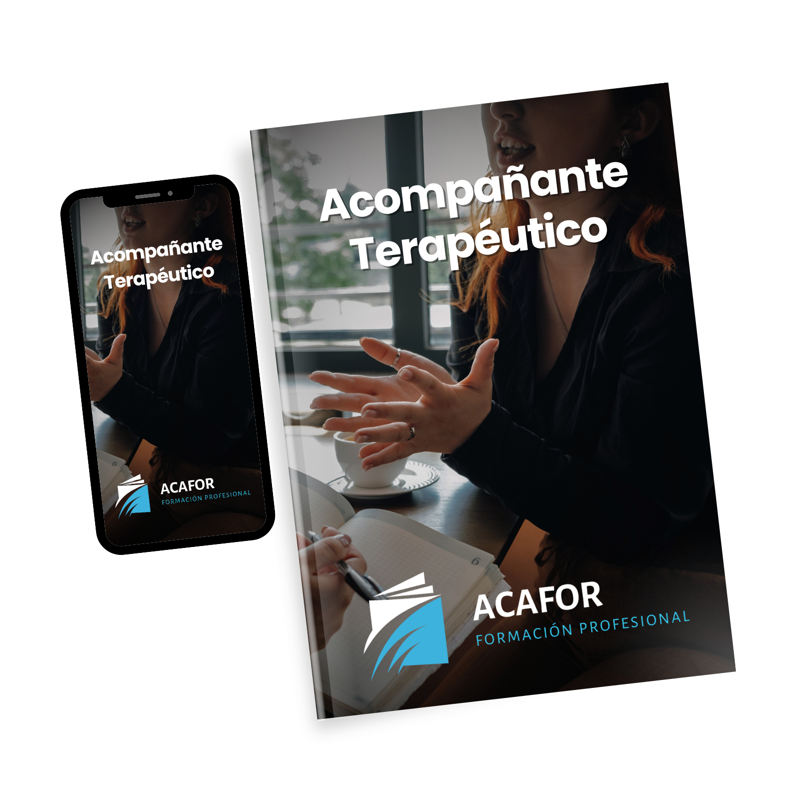 Acompañante Terapéutico
